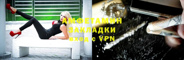 сатива Новокубанск