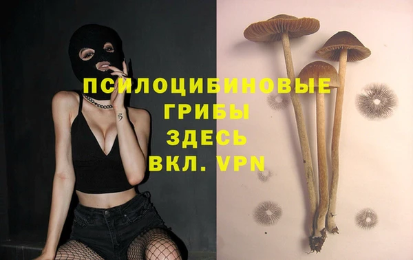 дмт Арсеньев