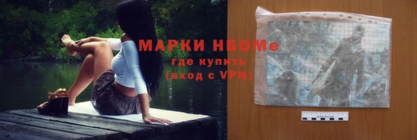 сатива Новокубанск