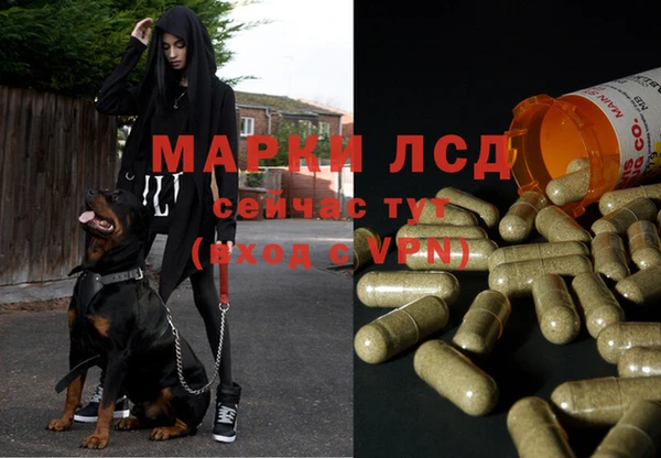 a pvp Инта