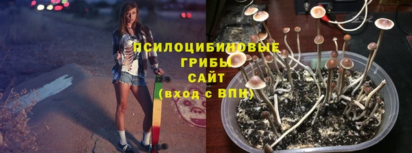 PSILOCYBIN Аркадак