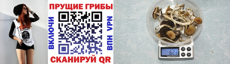 Галлюциногенные грибы прущие грибы  продажа наркотиков  ОМГ ОМГ tor  Артёмовск 